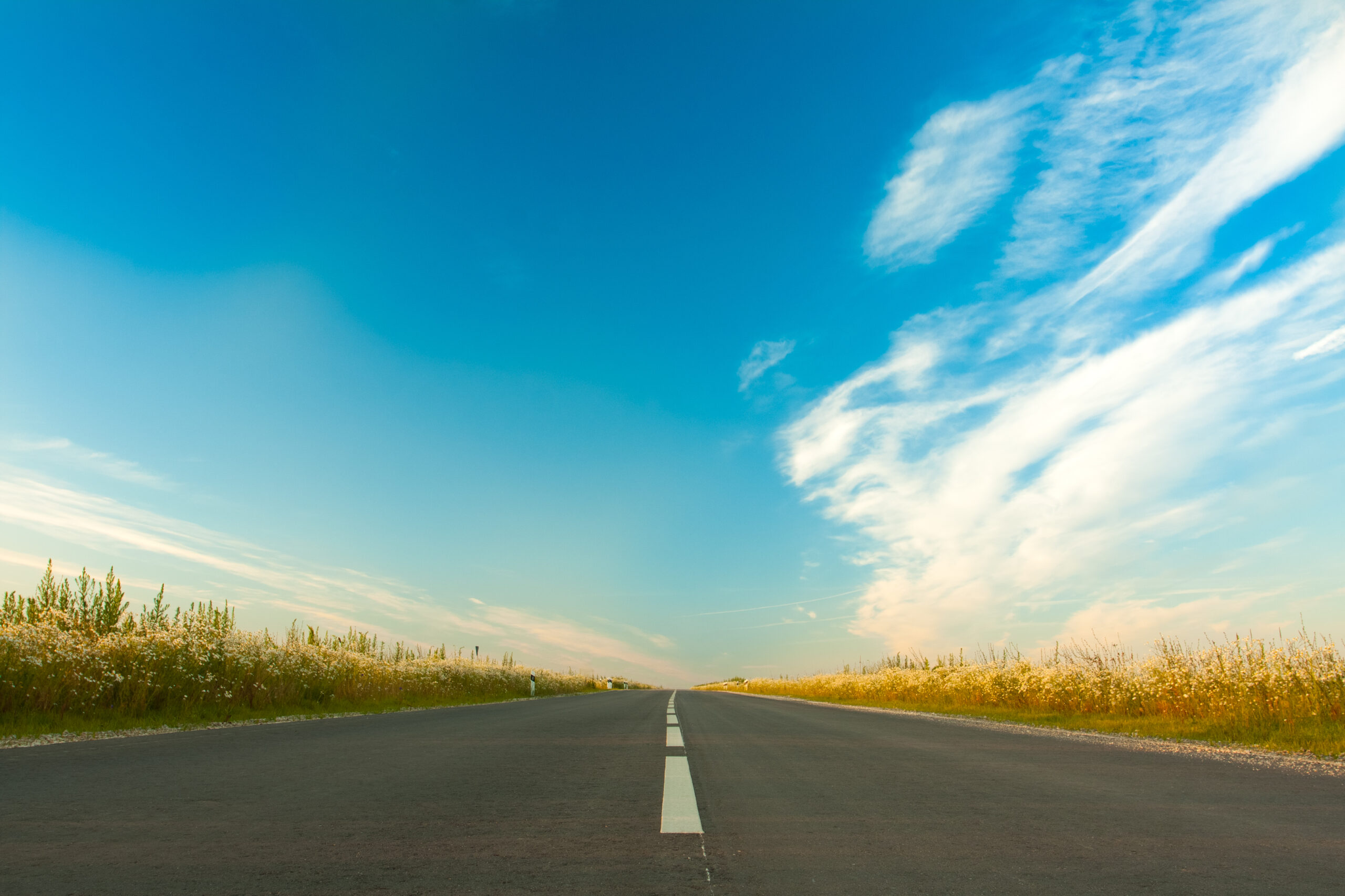 ミレナについて