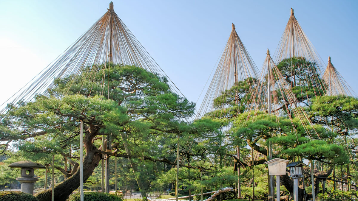 甲信越・北陸の相談窓口