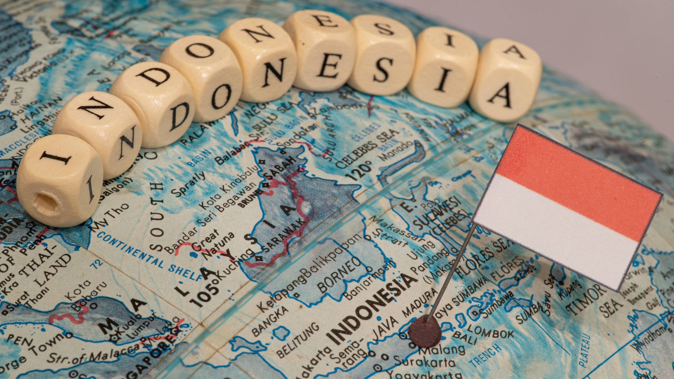インドネシアの探偵調査